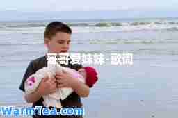 哥哥爱妹妹-歌词