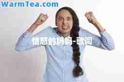 愤怒的妈妈-歌词