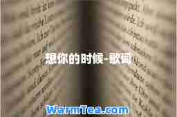 想你的时候-歌词