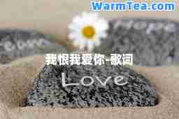 我恨我爱你-歌词