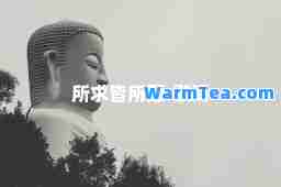 所求皆所愿-歌词