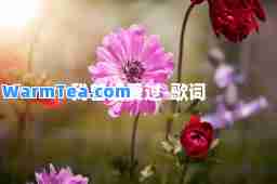 我曾经爱过-歌词