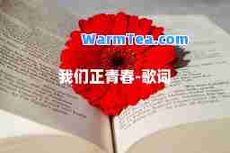 我们正青春-歌词