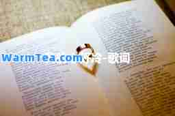 我的心好冷-歌词