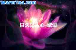 日久见人心-歌词