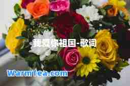 我爱你祖国-歌词