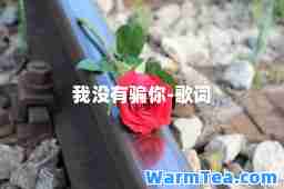我没有骗你-歌词