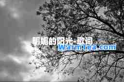 明媚的阳光-歌词