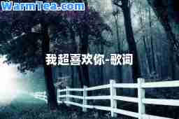 我超喜欢你-歌词
