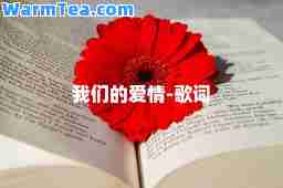我们的爱情-歌词