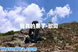 我真的累了-歌词