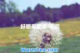 好想再爱你-歌词