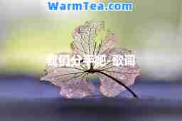 我们分手吧-歌词