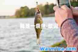 我是一条鱼-歌词