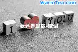 我还是爱你-歌词