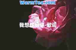 我想嫁给你-歌词