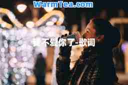 我不爱你了-歌词