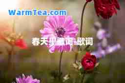 春天里歌词-歌词