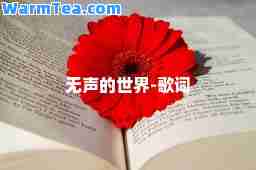 无声的世界-歌词
