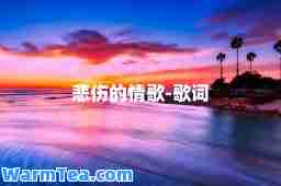 悲伤的情歌-歌词