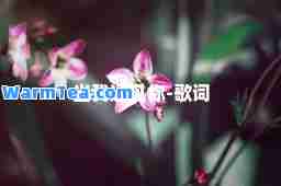 当我遇见你-歌词