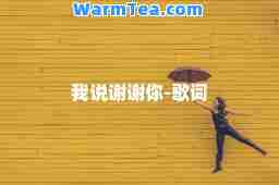 我说谢谢你-歌词