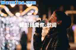 我想我爱你-歌词