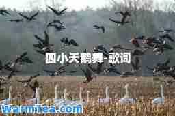 四小天鹅舞-歌词