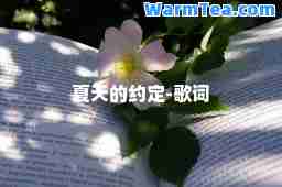 夏天的约定-歌词