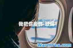我把你灌醉-歌词