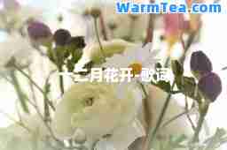 十二月花开-歌词
