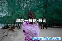 单恋一枝花-歌词
