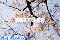 春暖花开时-歌词