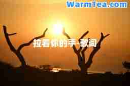 拉着你的手-歌词