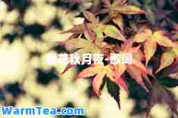 春花秋月夜-歌词