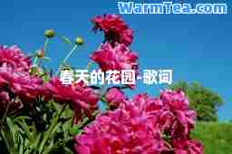 春天的花园-歌词