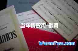 当年情歌词-歌词