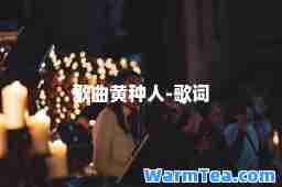 歌曲黄种人-歌词