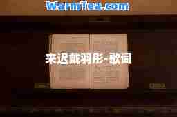 来迟戴羽彤-歌词