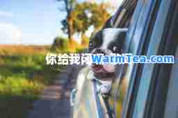 你给我闭嘴-歌词