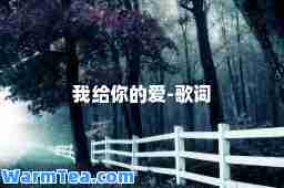 我给你的爱-歌词