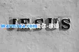 我决定爱你-歌词