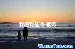 我想我是海-歌词