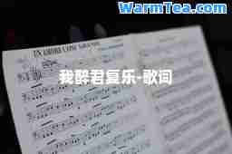 我醉君复乐-歌词