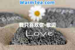 我只喜欢你-歌词