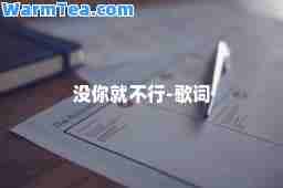 没你就不行-歌词