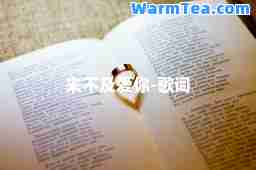 来不及爱你-歌词