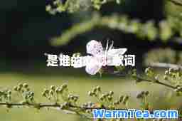 是谁的心啊-歌词