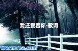 我还爱着你-歌词
