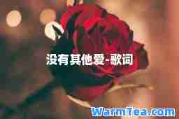 没有其他爱-歌词